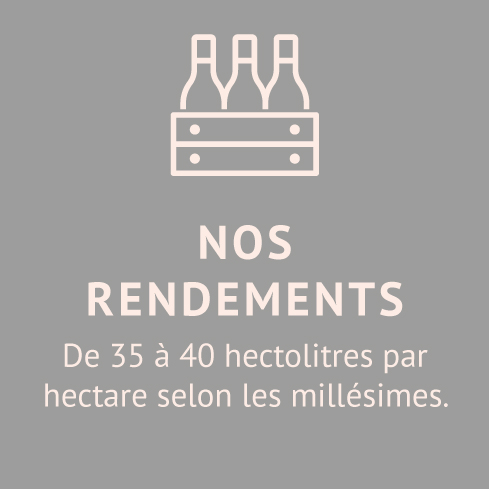 NOS-RENDEMENTS-Domaine-chateau-de-jau