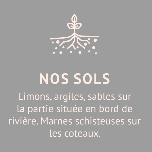 NOS-SOLS-Domaine-chateau-de-jau