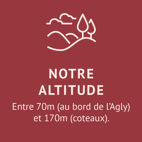 notre-altitude-domaine-chateau-de-jau