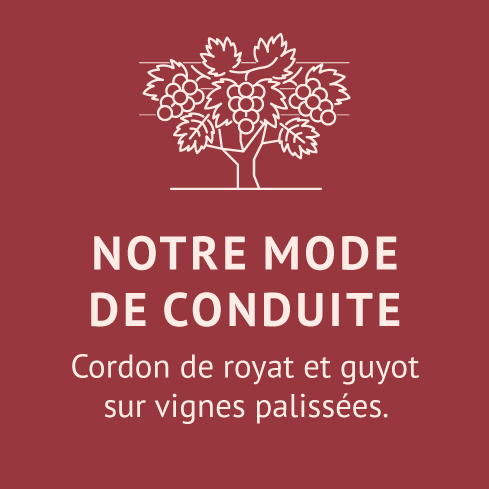 notre-mode-de-conduite-Domaine-Chateau-de-jau