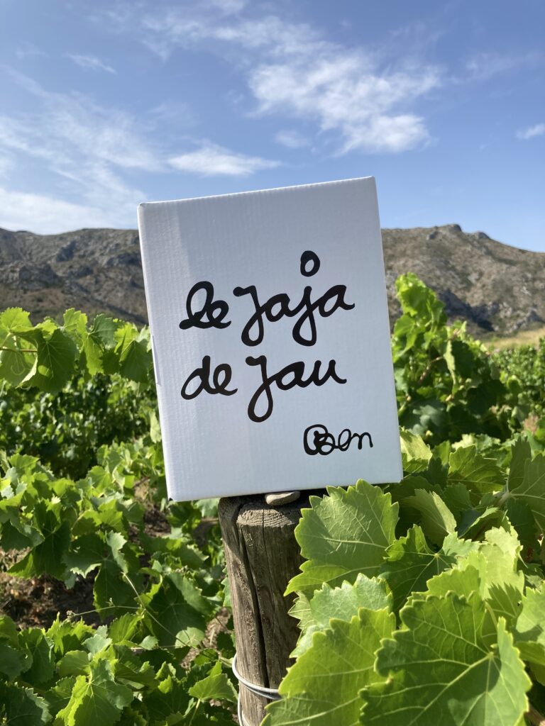 bib sauvignon