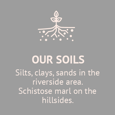 our-soils-chateau-de-jau